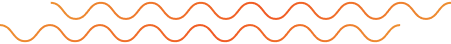 Layer_1